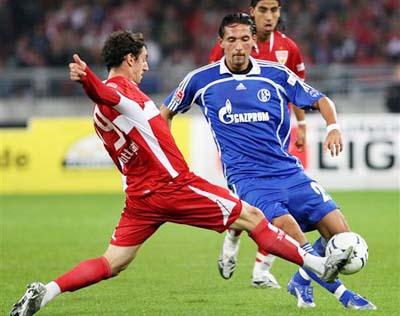 他的组织能 他的组织能