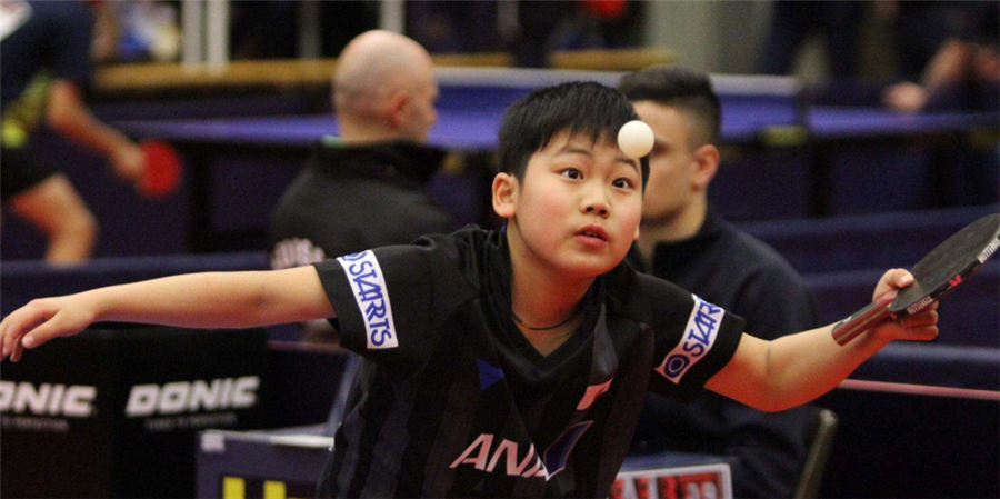 论如同一颗 论如同一颗